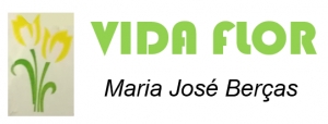 Vida Flor de Maria Jos&eacute; Ber&ccedil;as