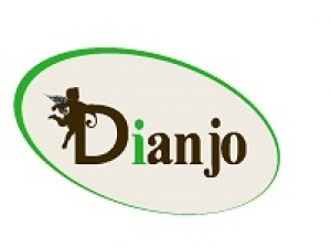 Dianjo