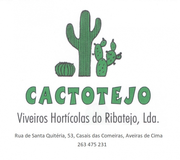 Cactotejo