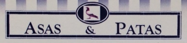 Asas e Patas