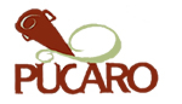 O P&uacute;caro, Tradicional