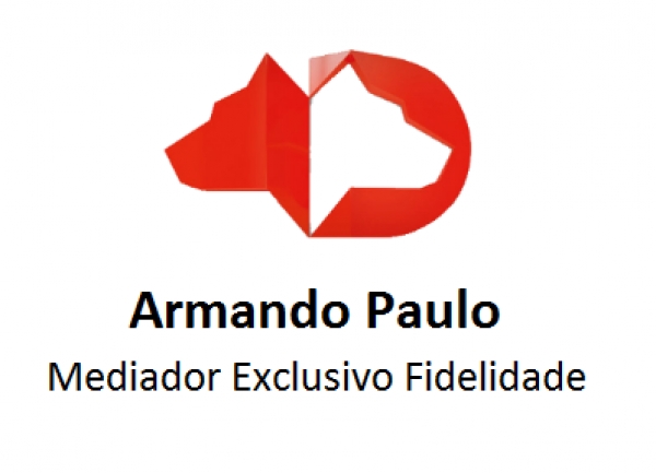 Armando Paulo - Mediador de Seguros