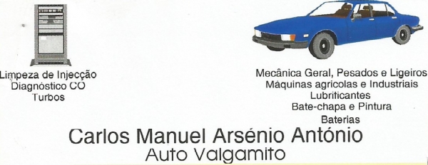 Auto Valgamito