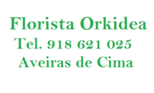 Florista OrKidea