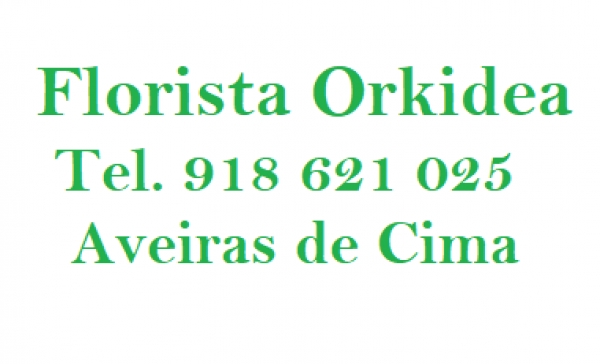 Florista OrKidea